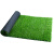 索德汉 仿真草坪地毯 人造草皮 1平米 3厘米春草加密双层底