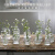 哥尔摩法式复古浮雕玻璃迷你小花瓶ins风透明水培插花花瓶桌面装饰摆件 云门