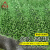巨成云 仿真人造草坪地毯 塑料假草皮 绿植绿色地毯 单色草 25针加厚草高1.5cm 宽2米*长25米【无背胶】