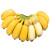 果迎鲜 香蕉 广西小米蕉 5斤装 芭蕉 新鲜水果 生鲜 生果需催熟 小香蕉