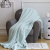 艾薇 毛毯家纺 午睡空调毯珊瑚绒盖毯 加厚云貂绒毯子 土耳其绿 150*200cm