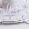 佛山照明（FSL）LED吸顶灯光源改造板2D管环形灯管改装节能灯套件白光5700K 25W