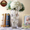 豪斯特丽（HOSTLY） 北欧简约彩色玻璃花瓶客厅书房花瓶摆件家居插花花瓶 30cm透明