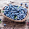秘鲁进口蓝莓 超大果16mm+ 1盒装 125g/盒 新鲜水果