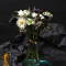 玫瑰玻璃花瓶摆件客厅插花透明北欧金边halo锥形鲜花瓶斜口欧式 锥形花瓶