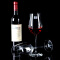 德国Schott肖特 红酒杯 高脚杯水晶玻璃进口葡萄酒酒杯 505ml单支