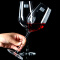 德国Schott肖特 红酒杯 高脚杯水晶玻璃进口葡萄酒酒杯 505ml单支