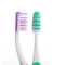 舒客超洁细毛软毛护龈牙刷2支装（防止蛀牙减少牙垢、口气清新）（颜色随机）