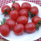 绿鲜知 圣女果 小番茄 樱桃番茄约500g 新鲜蔬菜