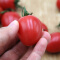 绿鲜知 圣女果 小番茄 樱桃番茄约500g 新鲜蔬菜