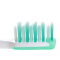 舒客超洁细毛软毛护龈牙刷2支装（防止蛀牙减少牙垢、口气清新）（颜色随机）