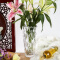 豪斯特丽（HOSTLY） 北欧简约彩色玻璃花瓶客厅书房花瓶摆件家居插花花瓶 30cm透明