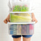 百露冰箱保鲜盒加大容量蔬菜水果食品收纳盒冷藏盒密封盒 超值3个装