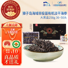 獐子岛（ZONECO SEAFOOD）原产地有机 大连淡干海参 京东好海参 15倍泡发率 高端礼品 【有机淡干】258g  36-50头