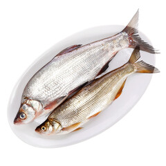 京东生鲜-回家吃饭 - 京东生鲜|海鲜水产专题活