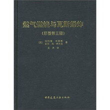 燃气燃烧与瓦斯爆炸（原著第3版）