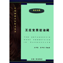王庄变质岩油藏