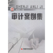 审计案例集