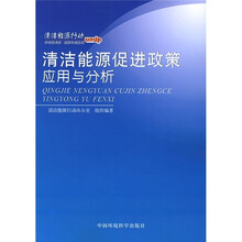 清洁能源促进政策应用与分析