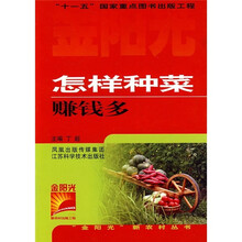 怎样种菜赚钱多