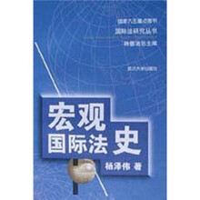 宏观国际法史