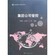 集团公司管控