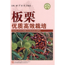 板栗优质高效栽培