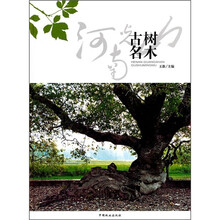 河南光山古树名木