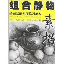 绘画基础专项临习范本:组合静物素描