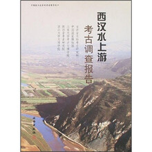 西汉水上游考古调查报告