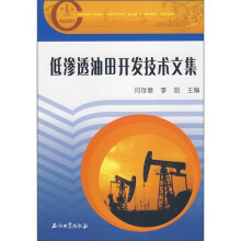 低渗透油田开发技术文集