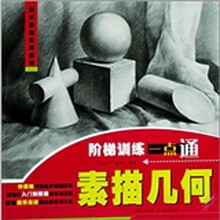 阶梯训练一点通：素描几何