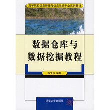 高等院校信息管理与信息系统专业系列教材：数据仓库与数据挖掘教程