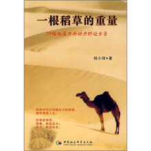 一根稻草的重量：39帖化压力为动力的处方签