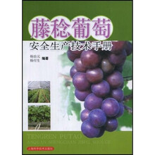 藤稔葡萄安全生产技术手册