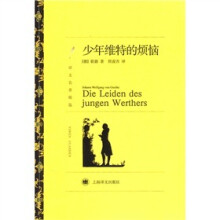 少年维特的烦恼