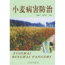 小麦病害防治