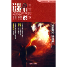 谜小说：大冒险家