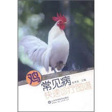 鸡常见病快速诊疗图谱