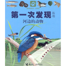 第一次发现丛书透视眼系列：河边的动物（动物类）
