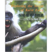 探秘喀斯特精灵:白头叶猴科考实录