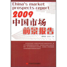 2009中国市场前景报告