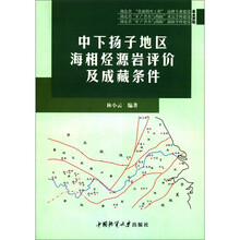 中下扬子地区海相烃源岩评价及成藏条件