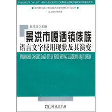 景洪市嘎洒镇傣族语言文字使用现状及其演变