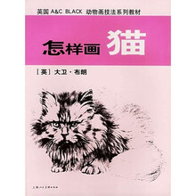 怎样画猫