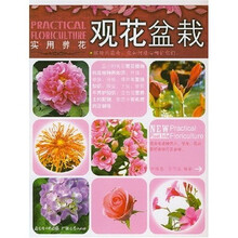 实用养花：观花盆栽