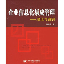 企业信息化集成管理：理论与案例