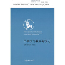 办案艺术与技巧丛书·法官培训参考用书：民事执行要点与技巧