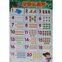 看图认数字-金葫芦炫彩挂图-超大学习版