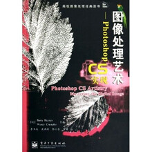 图像处理艺术：Photoshop CS实现（附光盘）